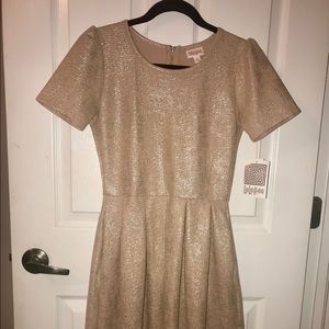 LulaRoe Brand New Amelia Dress
